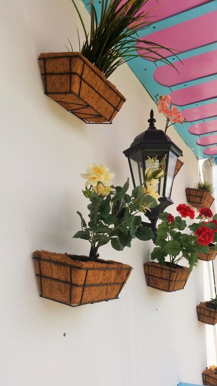 Hostal Johnnier Macao פונטה קאנה מראה חיצוני תמונה